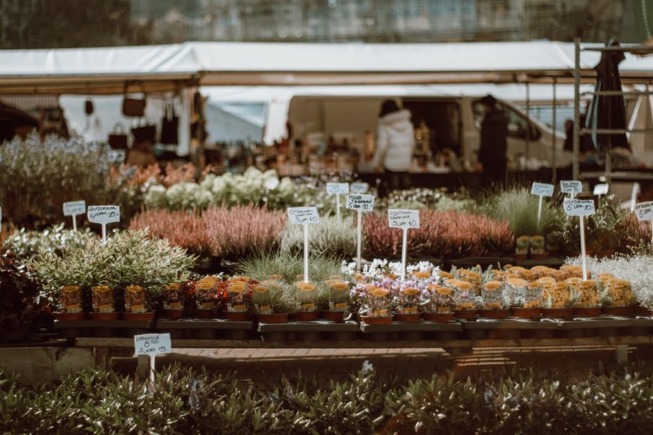 Le charme des marchés aux fleurs : comment en profiter
